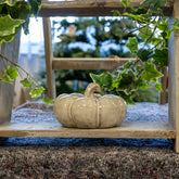 Beige mottle ceramic pumpkin